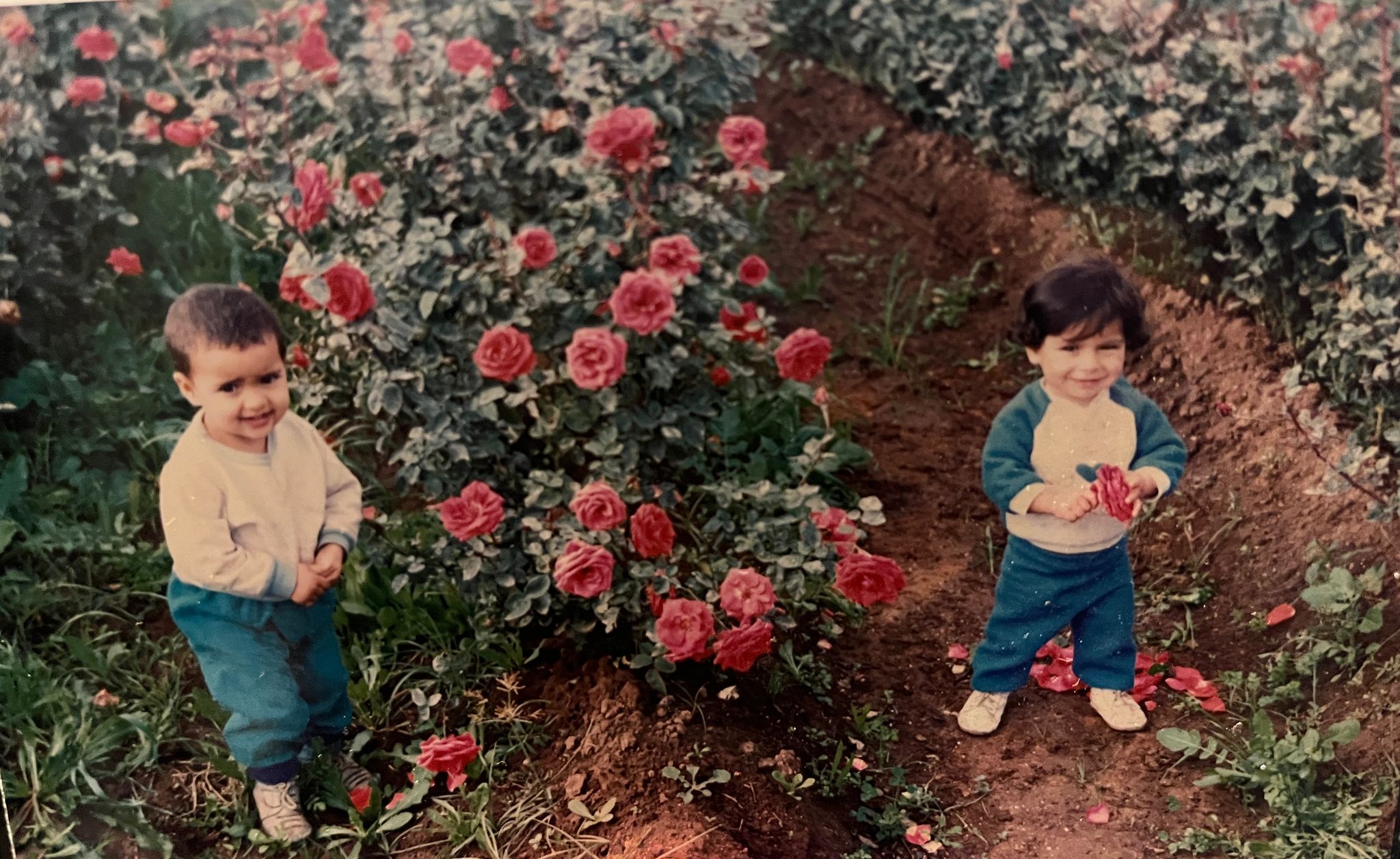 Les fondateurs de Florema, enfants dans un champ de roses